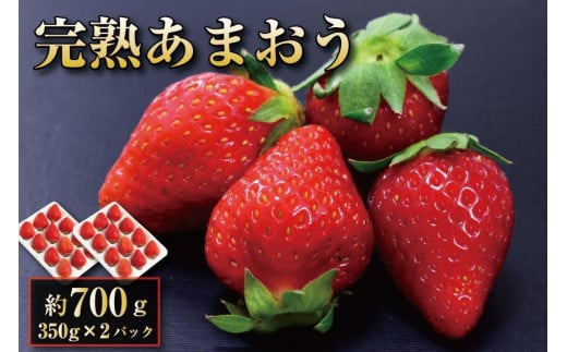 完熟 あまおう イチゴ 350g×2パック(約700g)【出荷予定：12月中旬～2025年2月下旬】