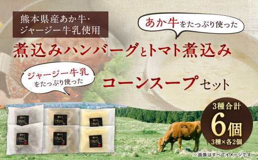あか牛の煮込みハンバーグとトマト煮込み・ジャージー牛乳を使ったコーンスープのセット 825555 - 熊本県相良村