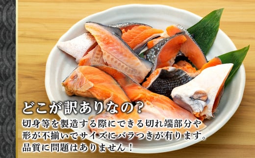 数量限定【訳あり】天然紅鮭 切身1kg（アメリカ産：切り落とし）500g×2
