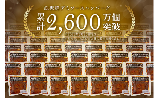 鉄板焼ハンバーグ デミソース 20個【A-191】 - 福岡県飯塚市｜ふるさと