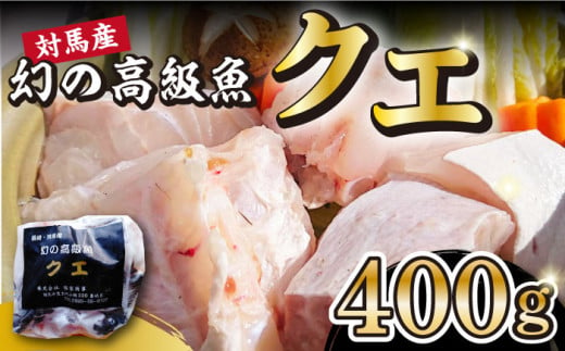 対馬産 幻の高級魚 クエ 400g《対馬市》【保家商事】 くえ 高級魚 アラ