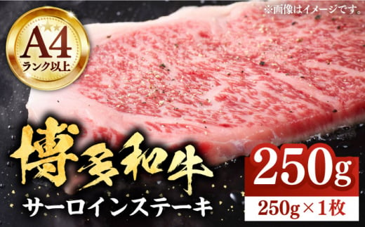 博多和牛サーロインステーキ 250g（250g×1枚）【株式会社Meat Plus】《豊前市》肉 焼肉 ステーキ お土産 冷凍 [VBB009]
