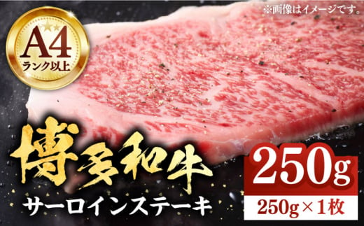 博多和牛サーロインステーキ 250g（250g×1枚）【株式会社Meat Plus】《豊前市》肉 焼肉 ステーキ お土産 冷凍 [VBB009] 852348 - 福岡県豊前市