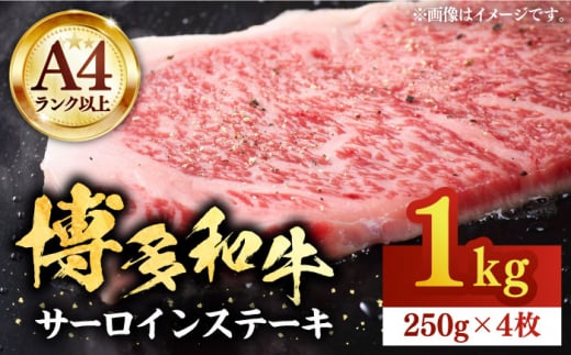 博多和牛サーロインステーキセット 1kg（250g×4枚）【株式会社Meat Plus】《豊前市》肉 焼肉 ステーキ お土産 冷凍 [VBB010]