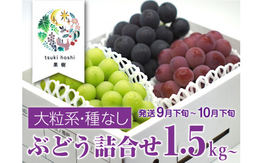 産地直送】シャインマスカットと大粒系ぶどう詰合せ １.５ｋｇ以上