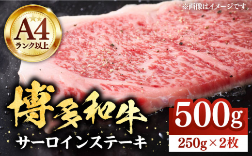 博多和牛サーロインステーキセット 500g（250g×2枚）【株式会社Meat Plus】《豊前市》肉 ステーキ サーロイン [VBB011]