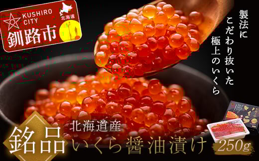 ★レビューキャンペーン実施中!★ 8月発送 北海道産いくらしょう油漬250g 笹谷商店 ふるさと納税 いくら F4F-5684 837466 - 北海道釧路市