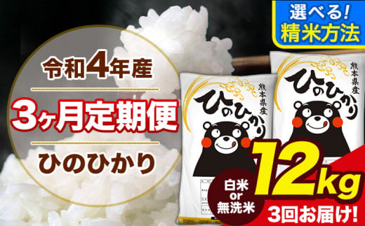 無洗米　熊本県産ひのひかり12キロ　ふるさと納税
