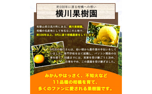 和歌山県日高川町のふるさと納税 完熟 不知火 ( デコポン )と同品種 約10kg S～2L 家庭用 サイズ混合 横川果樹園 《3月中旬-4月末頃出荷》 和歌山県 日高川町 不知火 みかん 果物 柑橘 フルーツ 送料無料