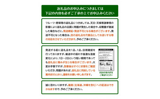 ブラックビート　約2kg【2024年7月下旬～2024年8月下旬配送】