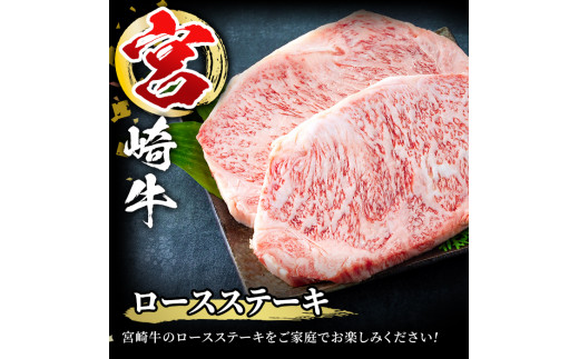 MI239 【定期便・全3回(連続)】宮崎牛ステーキ味わいセット＜総重量