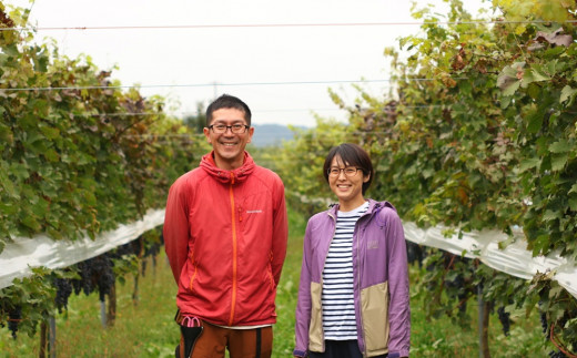 産地直送】上山産・完熟シャインマスカット １ｋｇ以上 ご家庭用 0140