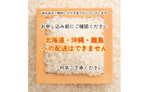 令和4年度 京都亀岡産 キヌヒカリ 5kg 白米 - 食品