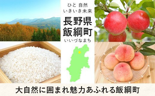 米 こしひかり 無洗米 5kg × 10回 【 10か月 定期便 】( 令和5年産