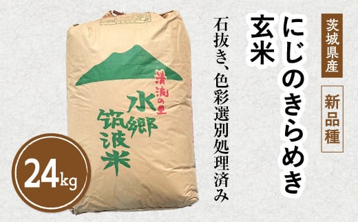 石川県産 玄米 30kg 人気の新品種食品 - 米/穀物