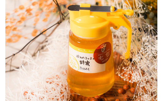 【国産蜂蜜】450ｇパッカー容器2本セット（くろがねもち蜂蜜、白花豆蜂蜜）