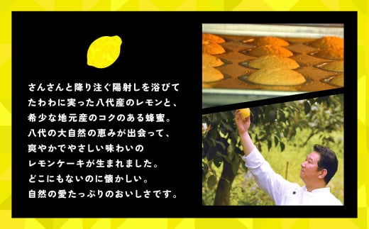 レモンケーキ 10個入 八代産レモン使用 焼き菓子 洋菓子