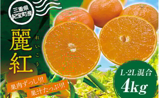 萩野農園の麗紅(れいこう) 4kg L-2L サイズ混合 みかん ミカン 柑橘 果物 くだもの フルーツ 旬 農家直送 産地直送 人気 【2026年1月末から2月末までに順次発送】