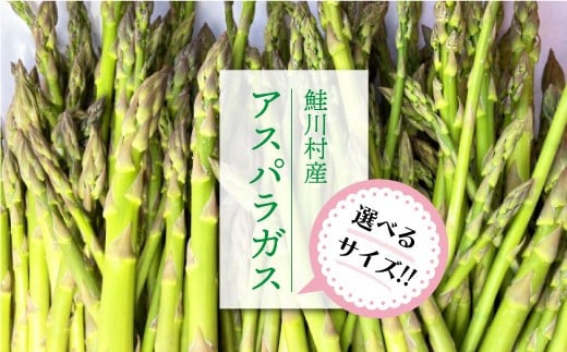 <2Lサイズ：2kg＞　鮭川村産　アスパラガス