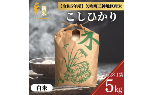 蔵出し生みそ 2kg～お申し込みを受けてから袋詰め～【1346878】 - 福島