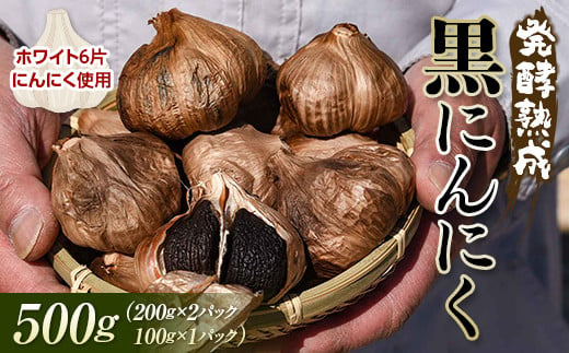 発酵熟成 黒にんにく 500g （200g×2パック＋100g×1パック） F2Y-3490 937928 - 山形県山形県庁