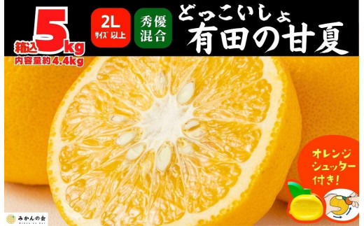 甘夏 大玉 箱込 5kg (内容量約4.4kg) 秀品 優品 混合 どっこいしょ 2Lサイズ以上 産地直送 おまけ付き 【みかんの会】