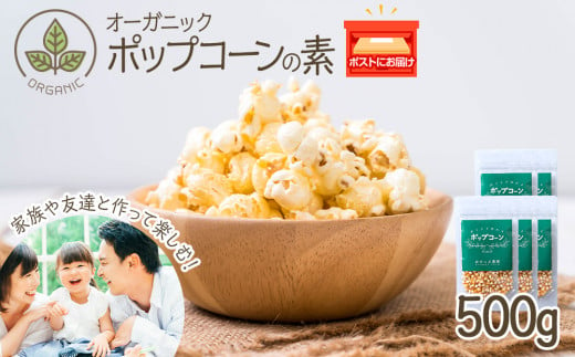 おうちで作れる　ポップコーン100g×5パック　《おのっぷ農園》