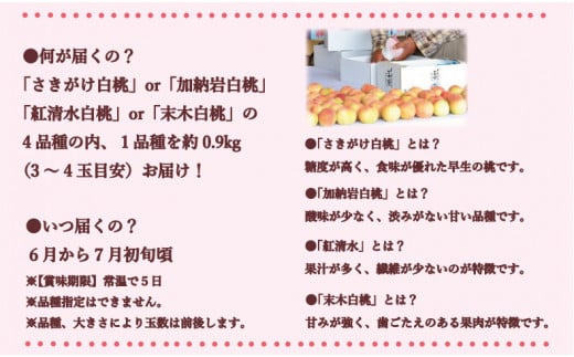 岡山県備前市産 樹上完熟白桃「早生4品種のうち1品種」約0.9kg（3～4玉