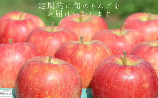 長野県佐久穂町のふるさと納税 【予約便・2025年発送】りんごやSUDA　スペシャルセット　旬のりんご定期便　５kg入り贈答箱【限定50箱】〔RS-10〕