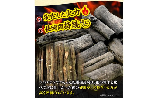 紀州備長炭 半丸 約5kg 望商店 《30日以内に出荷予定(土日祝除く 