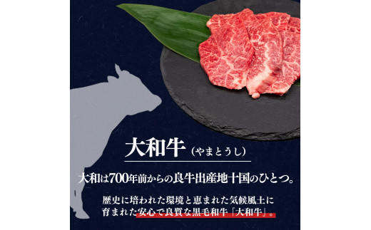 ふるさと納税 奈良県産黒毛和牛 大和牛 ロース すき焼き 500gx3 1500g