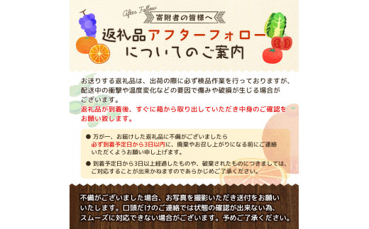 手選別・産直】紀の川産の安心国産レモン約3kg ＊9月・10月発送