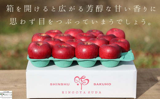 長野県佐久穂町のふるさと納税 【予約便・2025年発送】りんごやSUDA　スペシャルセット　旬のりんご定期便　５kg入り贈答箱【限定50箱】〔RS-10〕