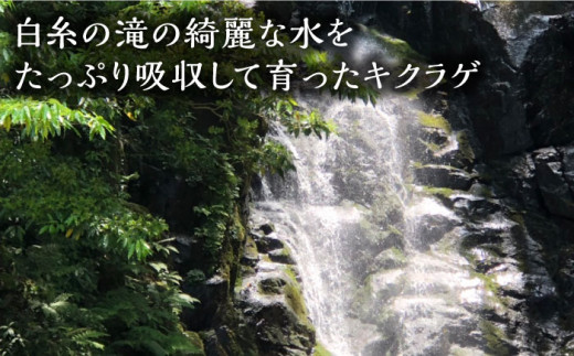 自然栽培にこだわった安心・安全の国産農薬不使用栽培です。