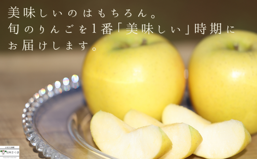 長野県佐久穂町のふるさと納税 【予約便・2025年発送】りんごやSUDA　スペシャルセット　旬のりんご定期便　５kg入り贈答箱【限定50箱】〔RS-10〕