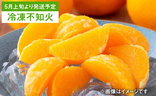 【年6回定期便】くまもとの柑橘定期便