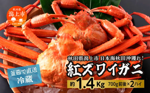 日本海沖産 紅ズワイガニ700g前後×2匹 約1.4kg/冷蔵 824789 - 秋田県潟上市