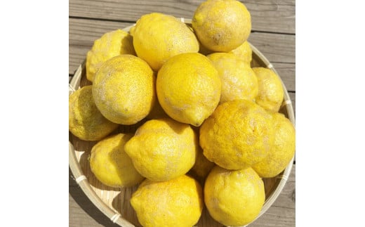 湯の花　南伊豆産わけありレモン３kg 656662 - 静岡県南伊豆町