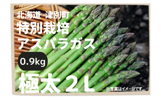 [R6年産]アスパラガス(極太2L)特別栽培 0.9kg 細川農園/015-24202-b01C