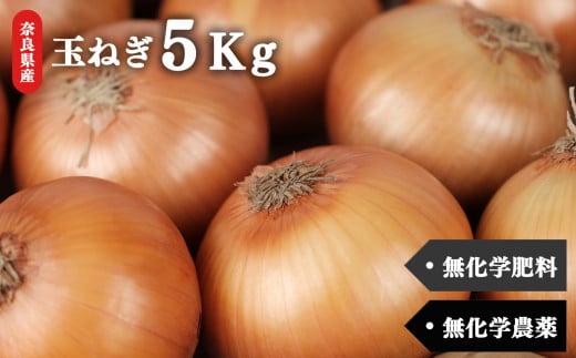 生命の農法（無化学農薬・無化学肥料栽培）玉ねぎ　5kg 772992 - 奈良県五條市