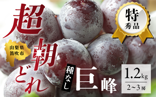 ふるさと納税 ＜2024年 先行予約＞本場 山梨 巨峰 ぶどう 2～3房 約1.2