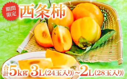 甘さたっぷり 益田特産 西条柿 5kg