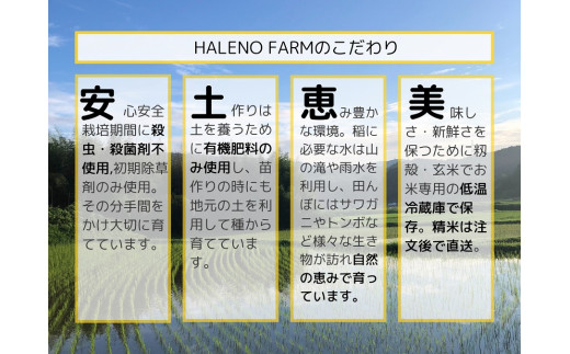 【定期便／全3回】優良金賞受賞米 きぬむすめ30㎏（10㎏×3回）【新米・先行予約・無洗米・残留農薬不検出】 23051-01