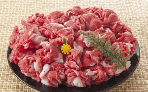 限定 牛肉 博多和牛 A4～A5 切り落とし 合計10kg（500g×20p）肩ロース 赤身 バラ カルビ 小分け 大好評につき継続！配送不可：離島  - 福岡県朝倉市｜ふるさとチョイス - ふるさと納税サイト