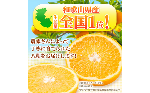 【先行予約】【手選果】有田産の八朔 10kg（SまたはMサイズいずれかお届け） 厳選館 《2024年1月中旬-3月下旬頃より順次出荷》和歌山県 日高川町