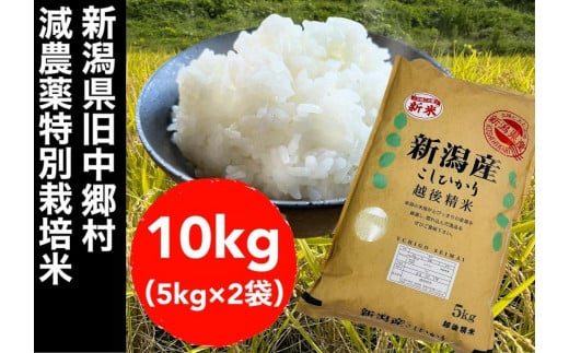 令和５年度産】新潟県減農薬特別栽培米 そのまんま真空パック 900ｇ×6
