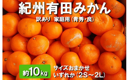 紀州有田みかん 約10kg (2S～2L) サイズおまかせ いずれか【訳あり