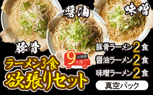 9ヶ月定期便】岐阜老舗ラーメン店天外 ラーメン3食欲張りセット（醤油