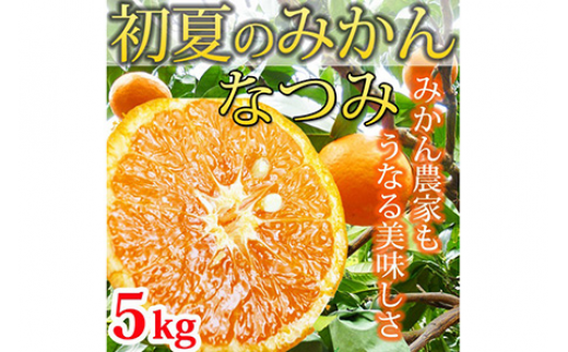 初夏のみかん なつみ５kg ふるさと納税 みかん※着日指定不可※2026年4月中旬頃〜2026年4月下旬頃に順次発送予定