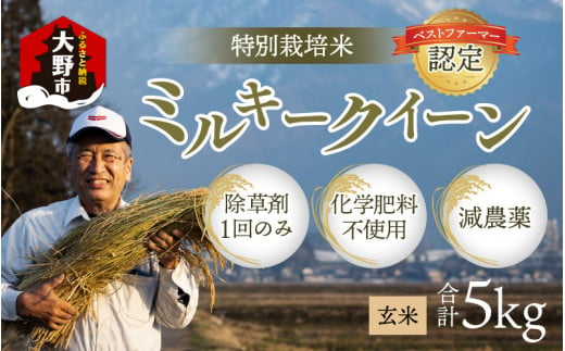 【令和5年産】【無農薬に限りなく近い】ミルキークイーン 玄米 ５kg 除草剤１回のみ・有機質肥料による特別栽培米 